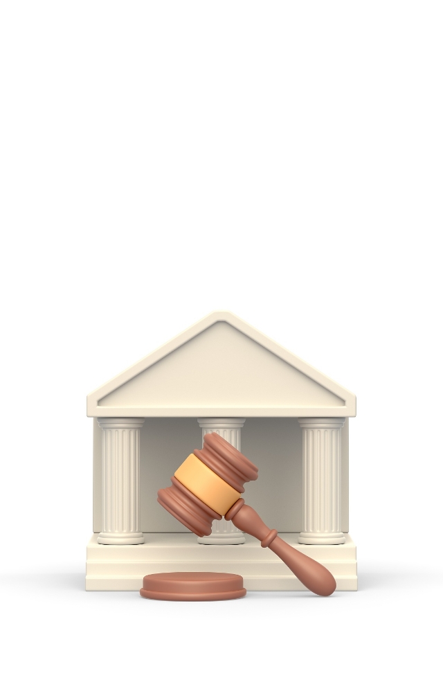 重金买猫引纠纷 卖家却将买家告上法庭？